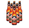 Nepal Ice Strong Beer (6x650ml)