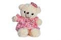Cute Teddy with Pink Dress