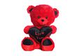 Red Teddy with Love You Cushion