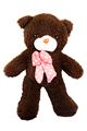 Dark Brown Teddy With Dotted Bow  (22675)