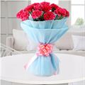 12 Pink Carnation with Blue Non Woven Paper Packing by FNP