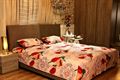 Cream Tulip Printed King Size Bedsheet With Pillow Cover