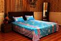 Flower Printed Bed Sheet in LT Pink and Sky Blue-Double Bed Size