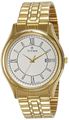 Titan Multi Color Dial Analogue Watch For Men - 1713YM02