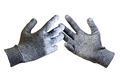 Pashmina Gloves - Gray