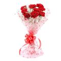 10 Red Carnations with Cellophane Packing by FNP