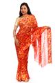 Japanese Printed Chiffon Sari with Zari Border - SareeNiva-07-B