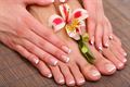 Sizzling Summer Tip Toes - 3 times Manicure & Pedicure Package