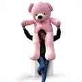 Human-sized Pink Teddy (5 ft 5 inches)