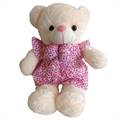 Small Teddy Bear in a Pink Dress