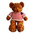 Brown Teddy Bear With Striped T-shirt
