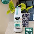 Ferments Milk Kefir (330 ml)
